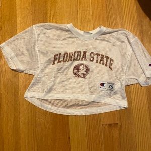 florida state game day crop